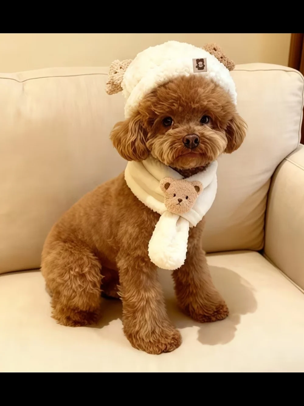 Plush Bear Hat & Scarf Set for Dogs - White -